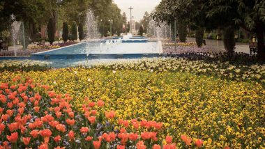 Tehran Parks